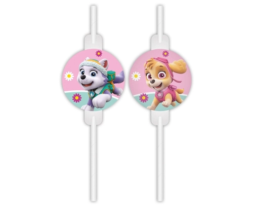 slomki-papierowe-z-medalionem-paw-patrol-skye-and.jpg