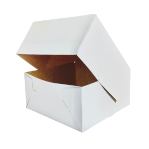 Pudełko KLEJONE BIAŁE 22x22x10 P691 